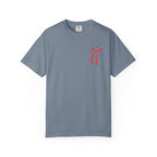 America 250 years of freedom Graphic Tee