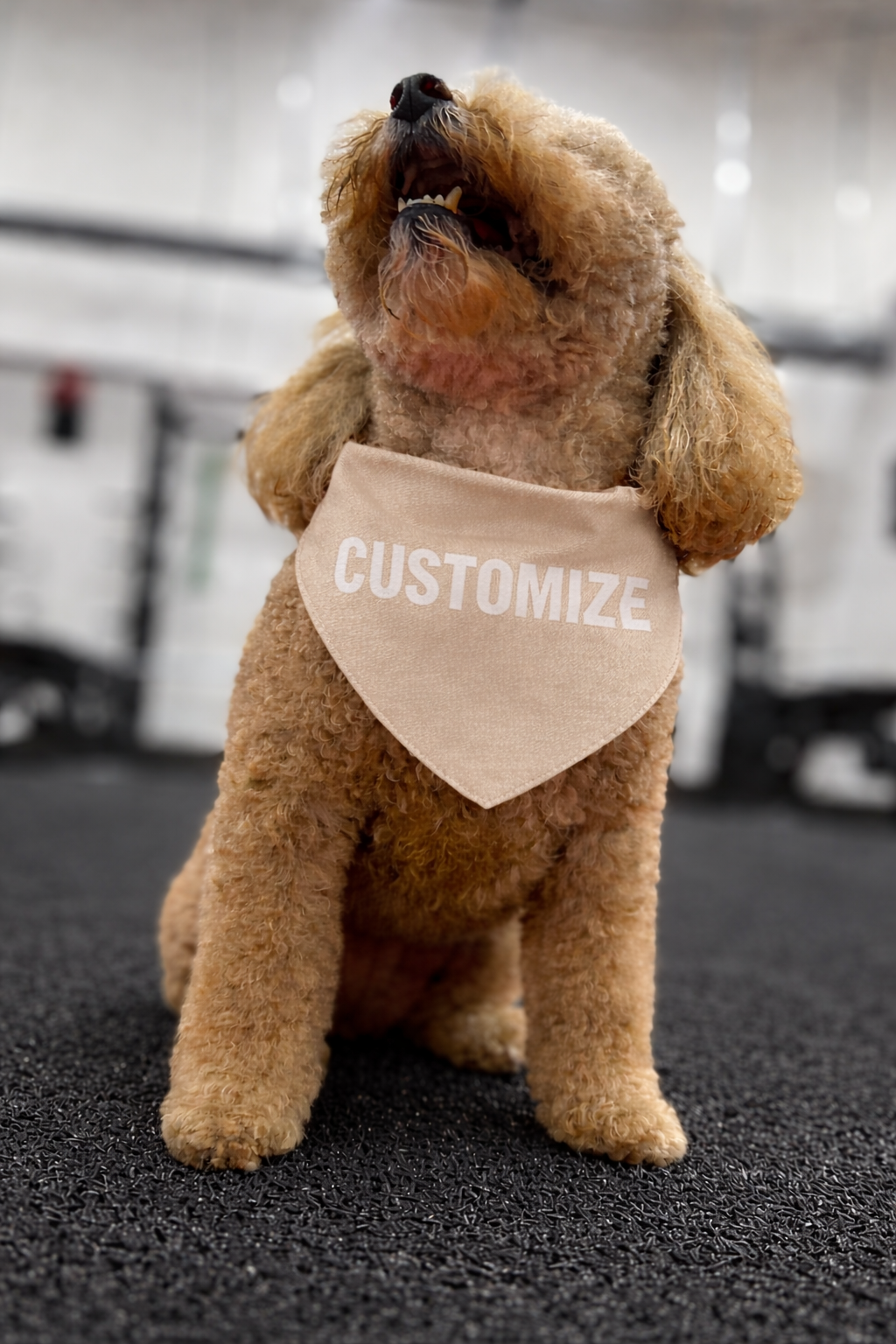 Pet Bandana - Elegant Custom Collar Accessory for Dogs & Cats